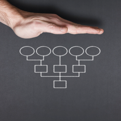 Typical Org Chart Ty